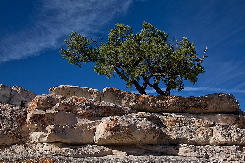 Direkt aus dem Fels heraus